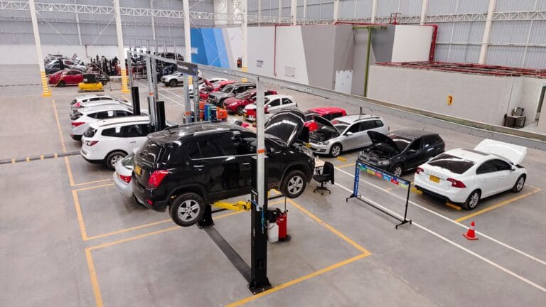 Planta-Kavak-planta-vista-[1]