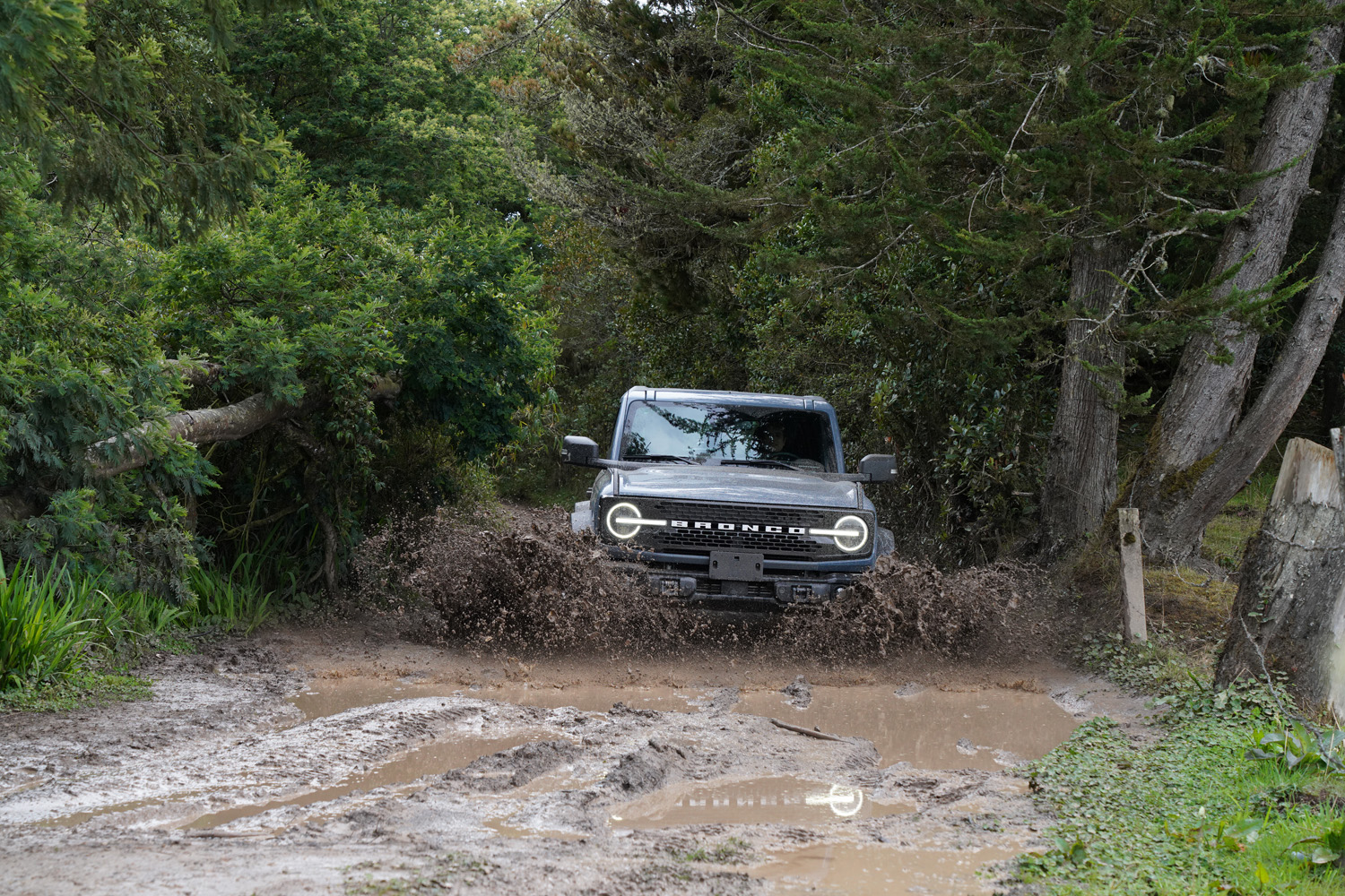 Con su presencia imponente y su herencia off-road, el Ford Bronco Wildtrak se erige como el compañero perfecto para aquellos que buscan la libertad en cada aventura. V12MAGAZINE