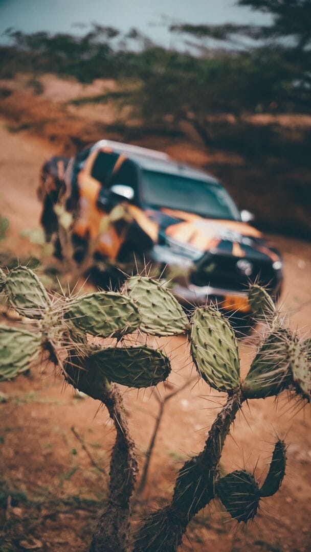 THE DESERT MARATHON: DESAFÍO EXTREMO EN LA GUAJIRA CON EL APOYO DE AUTOMOTORES TOYOTA COLOMBIA V12MAGAZINE The Desert Marathon es una aventura única en el corazón del desierto, promoviendo la resistencia y la conservación del medio ambiente. V12MAGAZINE