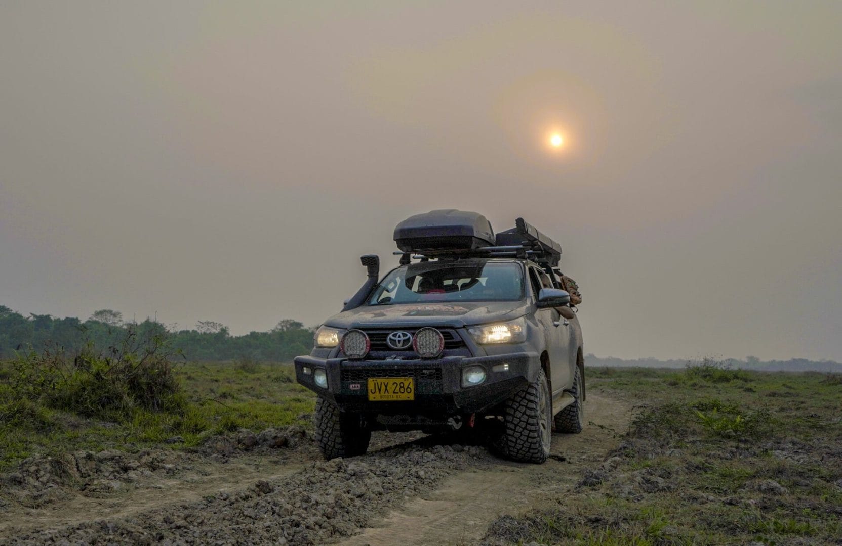 DESCUBRE AL DEPREDADOR MÁS GRANDE DE AMÉRICA LATINA Y EL ESFUERZO DE TOYOTA Y DE OTRAS GRANDES ENTIDADES PARA SALVARLO V12MAGAZINE Descubre