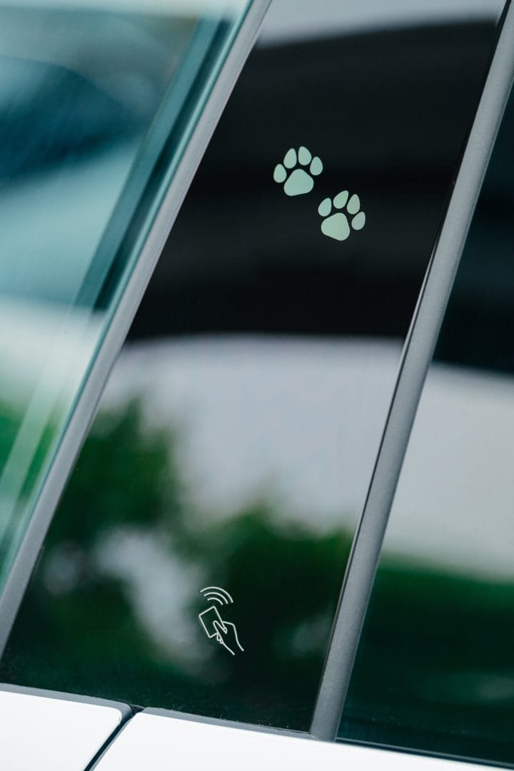 Zeekr contribuye por el amor por los animales que no deja de crecer en Colombia. Según cifras del DANE, cerca del 67% de los hogares tienen mascotas, lo que equivale a más de 4,4 millones de familias. Esta realidad ha transformado hábitos de consumo y decisiones de compra. V12MAGAZINE