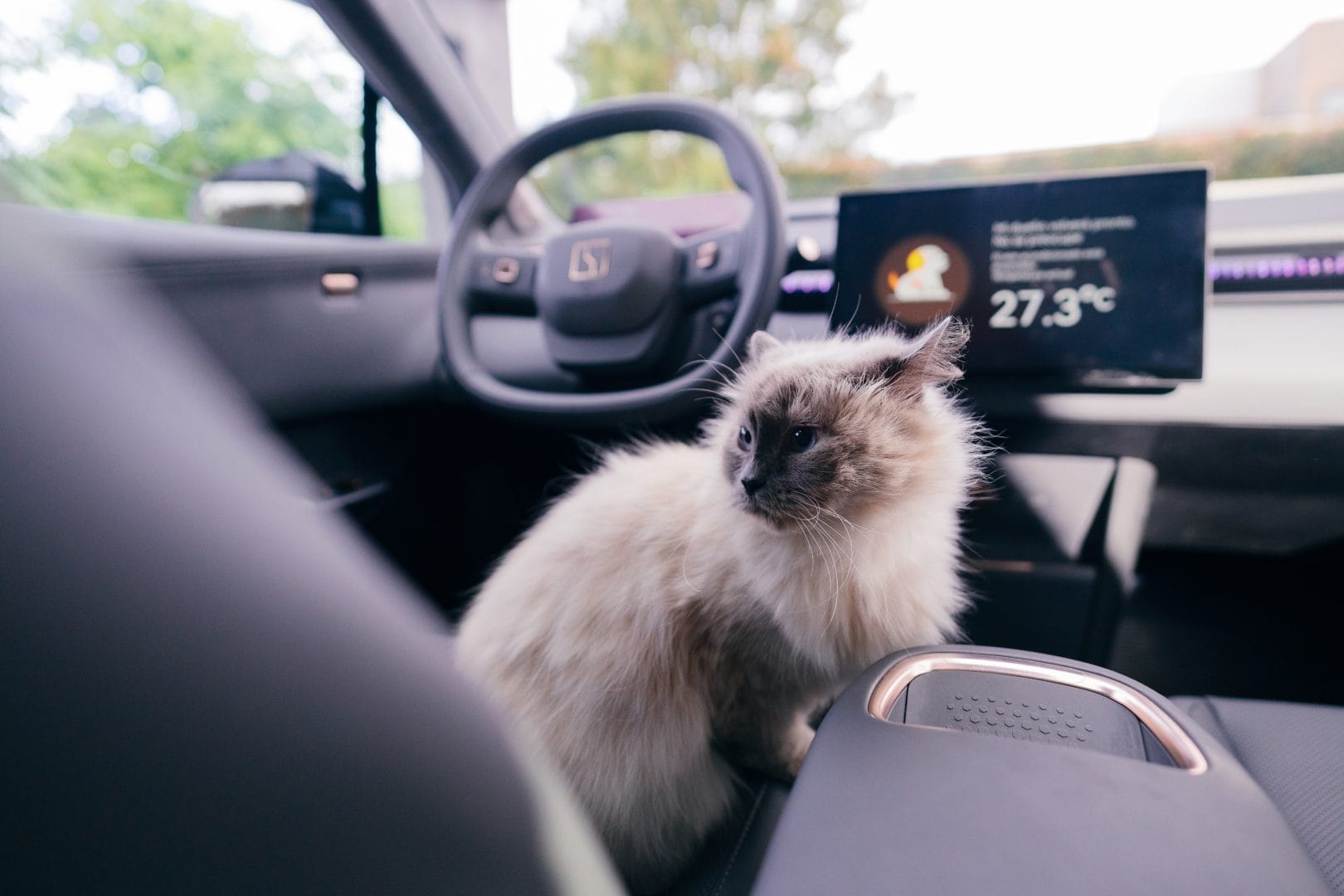 Zeekr contribuye por el amor por los animales que no deja de crecer en Colombia. Según cifras del DANE, cerca del 67% de los hogares tienen mascotas, lo que equivale a más de 4,4 millones de familias. Esta realidad ha transformado hábitos de consumo y decisiones de compra. V12MAGAZINE