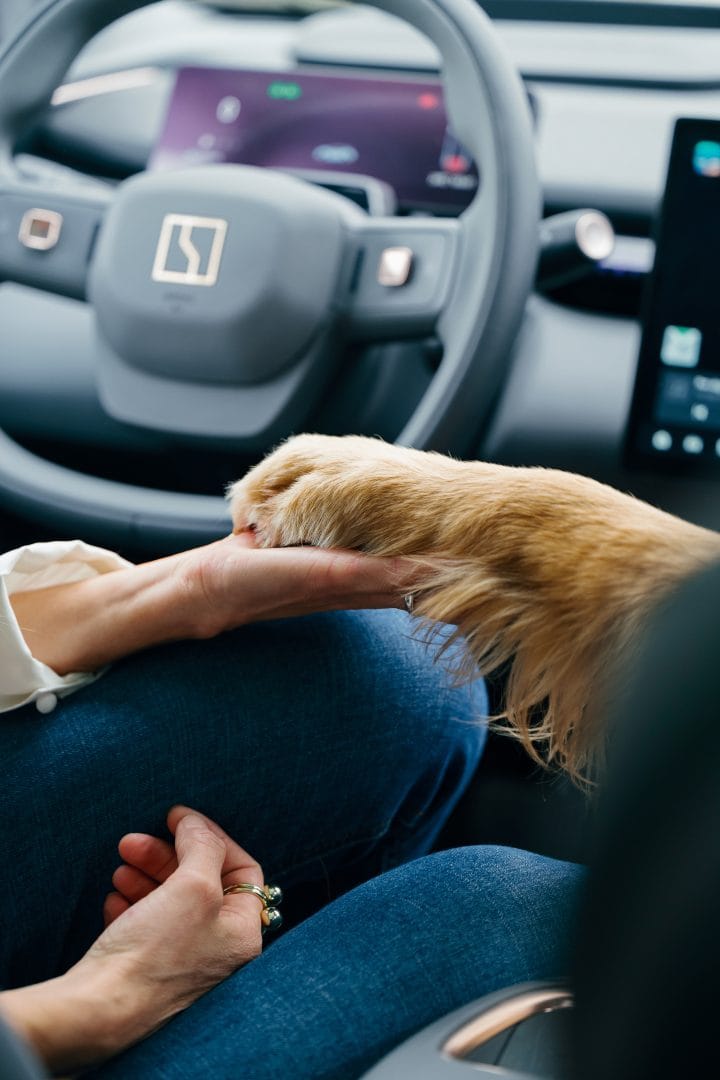 Zeekr contribuye por el amor por los animales que no deja de crecer en Colombia. Según cifras del DANE, cerca del 67% de los hogares tienen mascotas, lo que equivale a más de 4,4 millones de familias. Esta realidad ha transformado hábitos de consumo y decisiones de compra. V12MAGAZINE