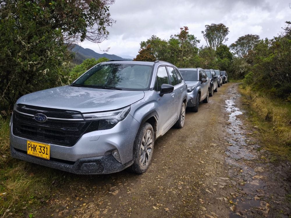 SUBARU FORESTER HÍBRIDA 2025: MÁS QUE UNA SUV, UNA PODEROSA EXPERIENCIA QUE NINGÚN RIVAL OFRECE V12MAGAZINE La nueva Subaru Forester en Colombia llega con espíritu renovado: tecnología híbrida, seguridad de primer nivel y un diseño robusto que redefine lo que significa aventurarse en cualquier camino. V12MAGAZINE