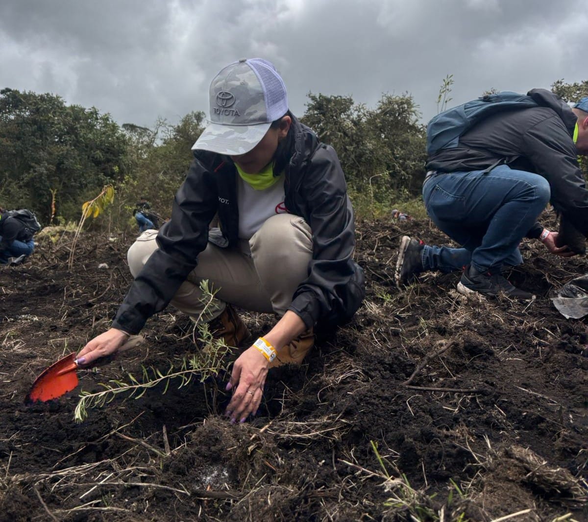 El Bosque Toyota impulsa la siembra de más de 28.000 árboles en Colombia, reafirmando el compromiso ambiental de la marca con la sostenibilidad, la biodiversidad y un futuro más verde. V12MAGAZINE