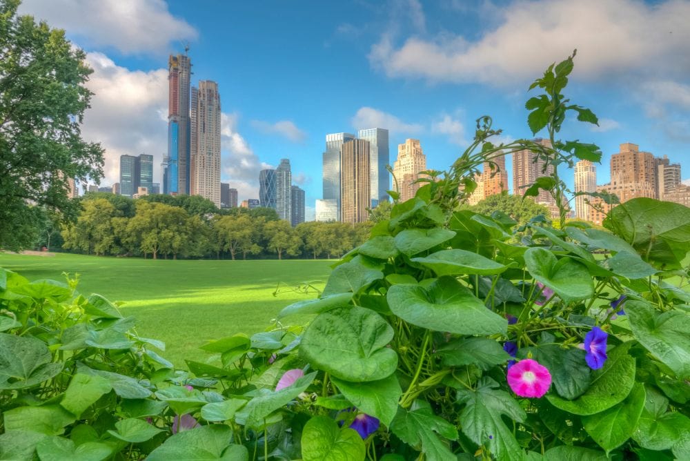 Los colombianos piden estándares para vehículos más eficientes en Colombia. Mientras las ciudades se preparan para cerrar el año, un mensaje ciudadano gana fuerza: respirar mejor no puede seguir siendo una promesa aplazada. Un reciente sondeo revela que nueve de cada diez colombianos respaldan regulaciones que obliguen a ofrecer vehículos nuevos más eficientes y menos contaminantes. V12MAGAZINE