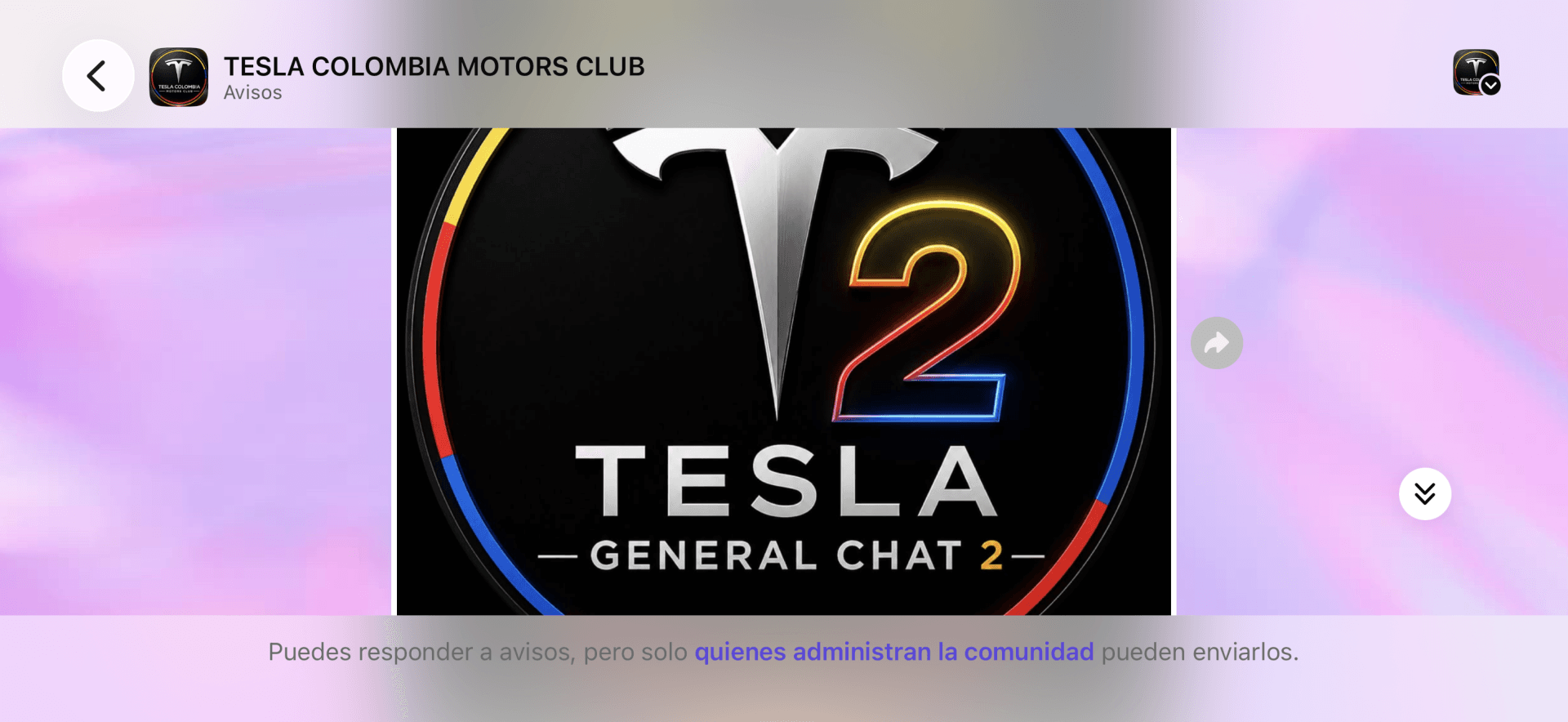Tesla rompe récords en Colombia, pero enfrenta el desafío de adaptar su experiencia digital al mercado local V12MAGAZINE Tesla