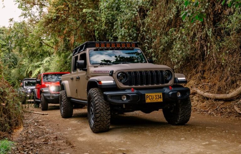 Jeep Nature