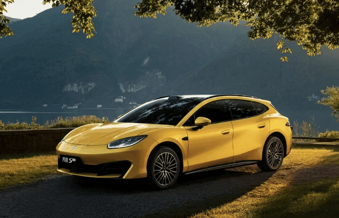 BYD Fang Cheng Bao Formula S