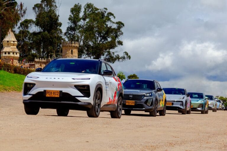 Carros eléctricos con mascotas