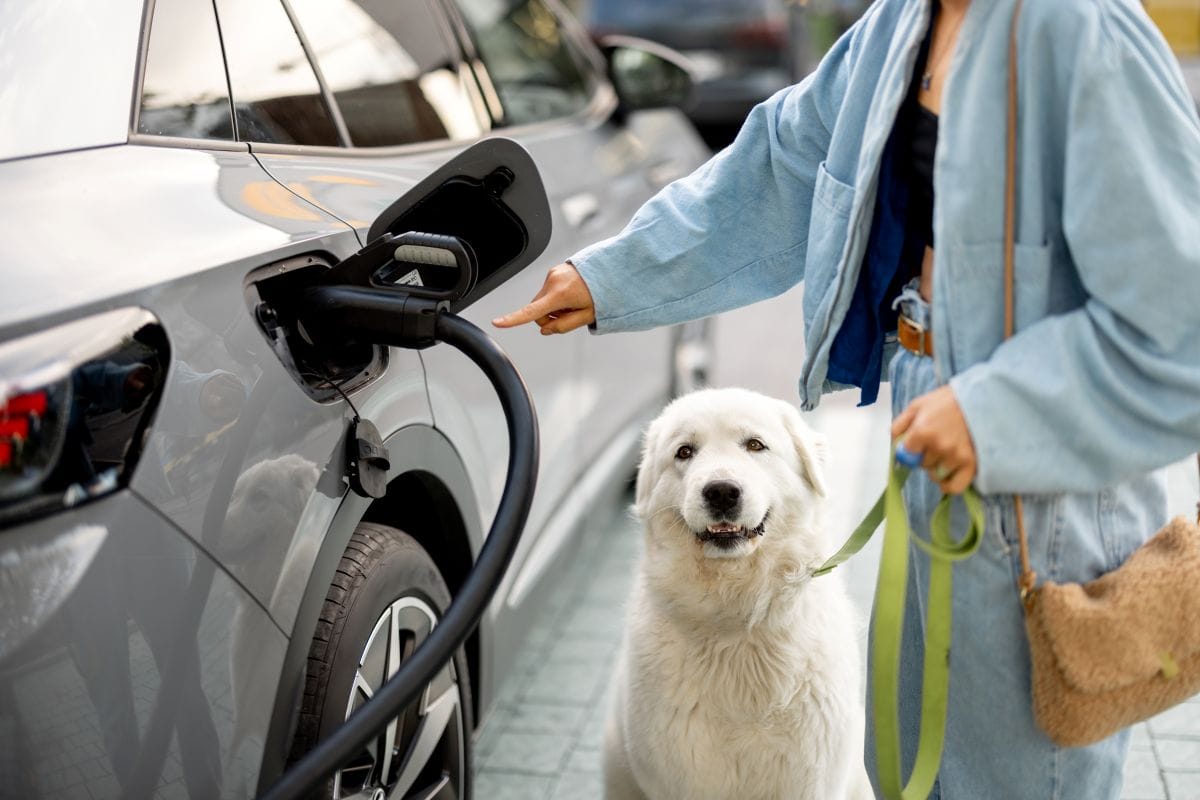 Caravana All Engine de carros eléctricos e híbridos: así podrían cambiar los viajes con mascotas V12MAGAZINE Una caravana de más de 30 vehículos electrificados recorrerá Bogotá y la Sabana con mascotas a bordo para explorar cómo cambia su experiencia de viaje. V12MAGAZINE