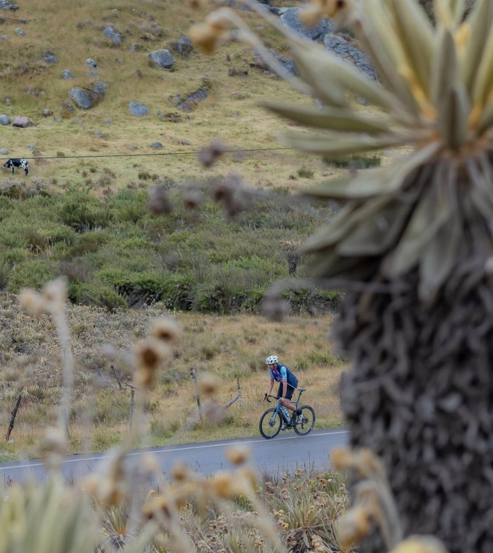 Rodando por una Sonrisa: 1.420 km para cambiar vidas y una iniciativa que empieza en la carretera V12MAGAZINE Catorce ciclistas recorrerán Colombia para apoyar a niños que necesitan atención médica especializada. Chevrolet se suma a una iniciativa que conecta solidaridad y seguridad vial. V12MAGAZINE